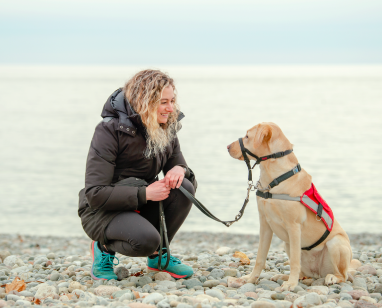 pet valu leash