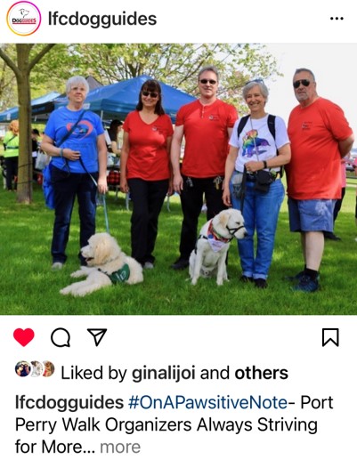 Instagram post- shows Port Perry Walk organizers group