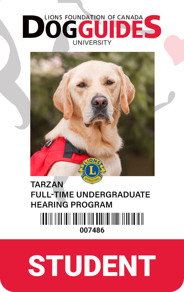 student id of a dog guide