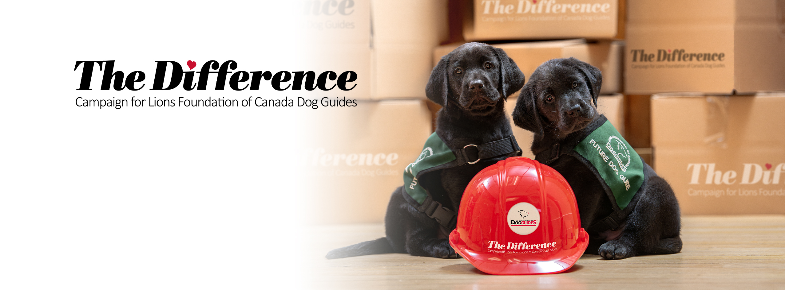 The Difference Campaign - Lions Foundation of Canada Dog Guides